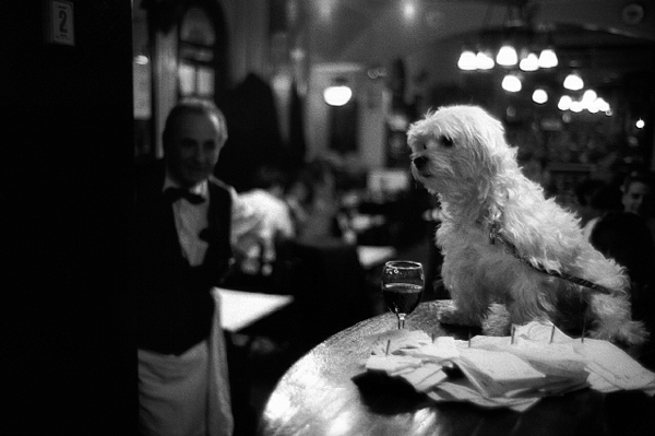 Photo Peter Turnley